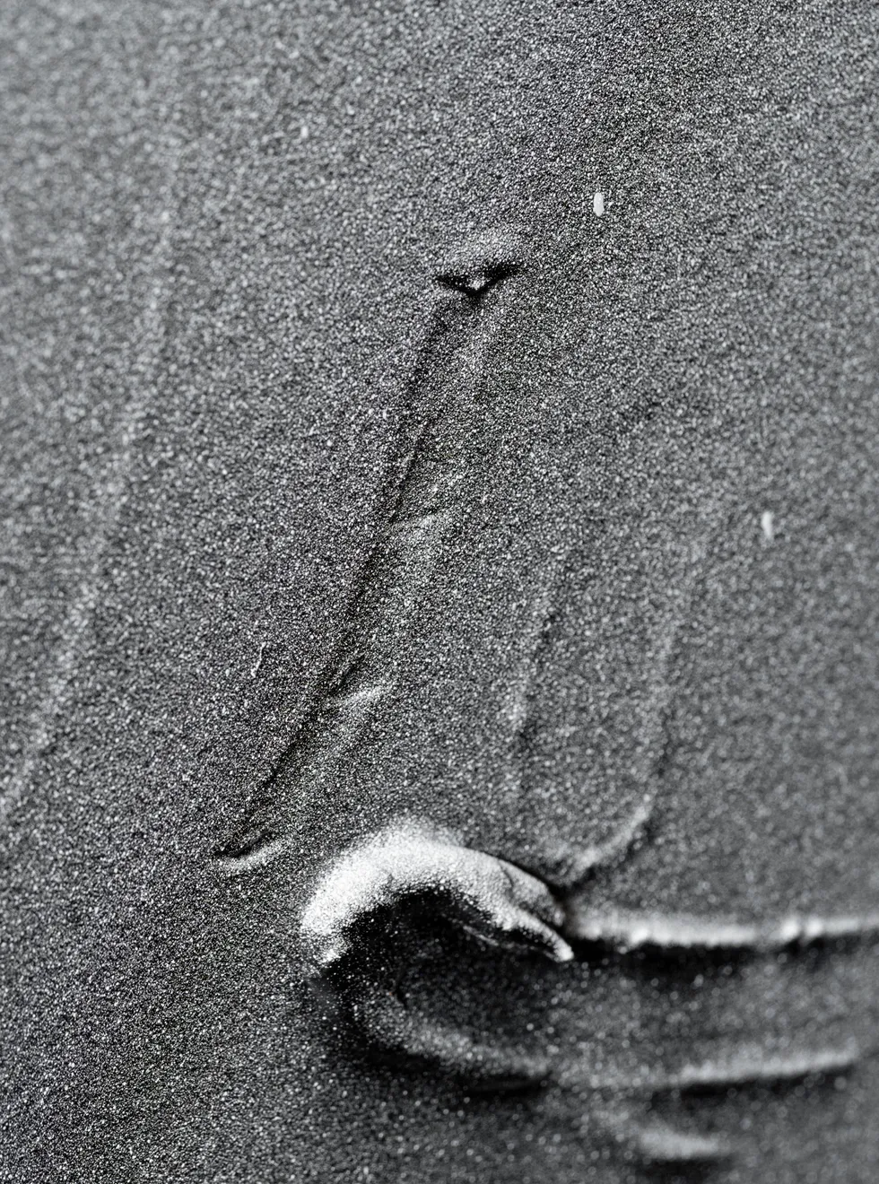 Baxter, Substance #02, 2024