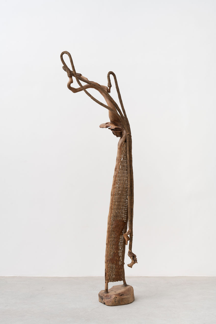 Advânio Lessa, Sem título (da série Nascimento) [Untitled (from the Birth series)], 2010-2015