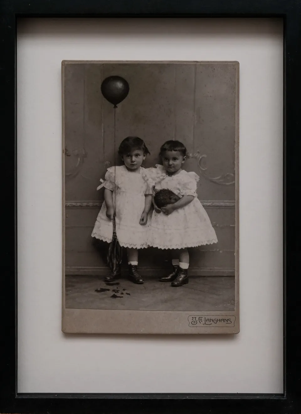 Jana Palečková, Ježeček, 2019