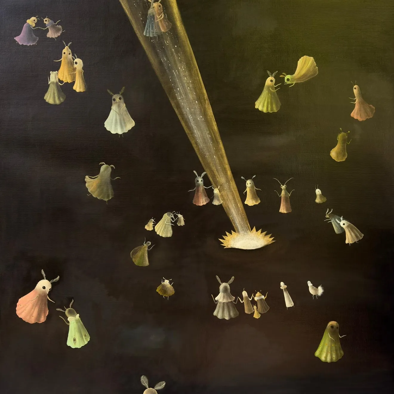 Sota Sakuma, Kometa, 2025