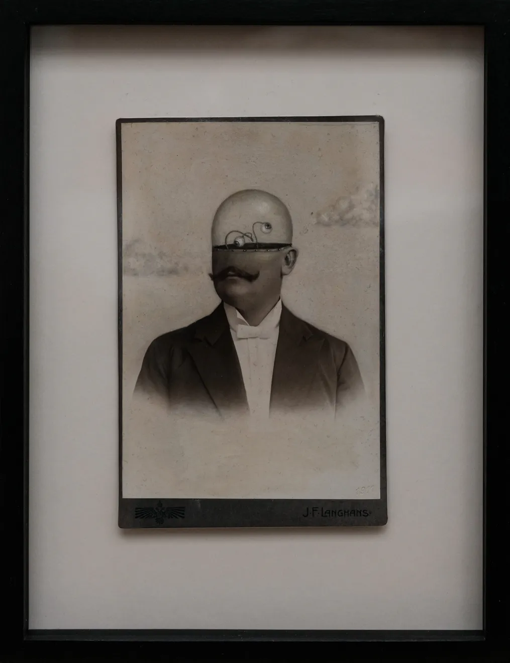 Jana Palečková, Dutá hlava, 2019