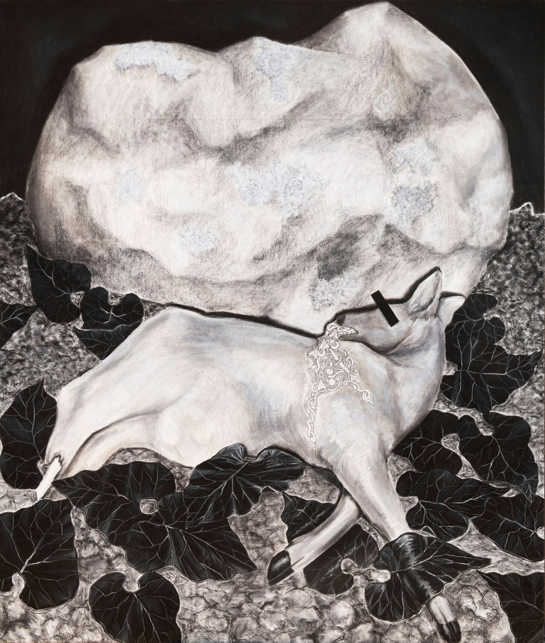 Karolína Netolická, Mršina / Carcass, 2020