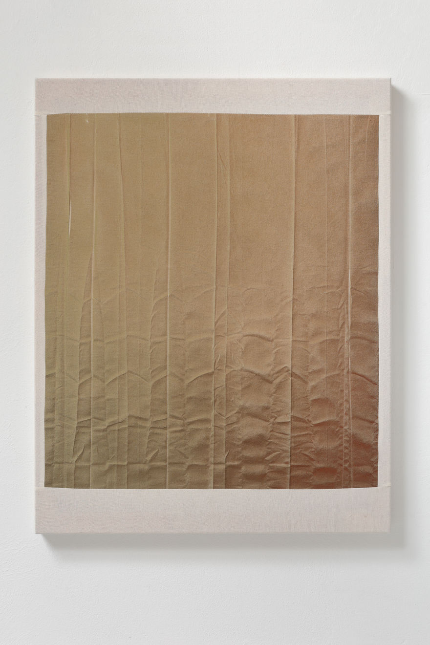 Monika Žáková, Echoes of Fragility/ Ozvěny fragility (RV187), 2021