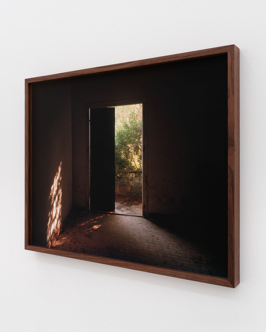 Simona Popovic, Mellem skygge og hjerte #1, 2025