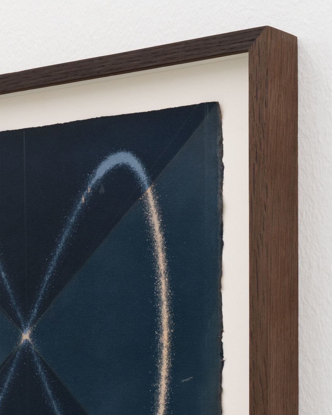 Louise Foo, Wave in Flux, Logwood Study (1:2), 2025