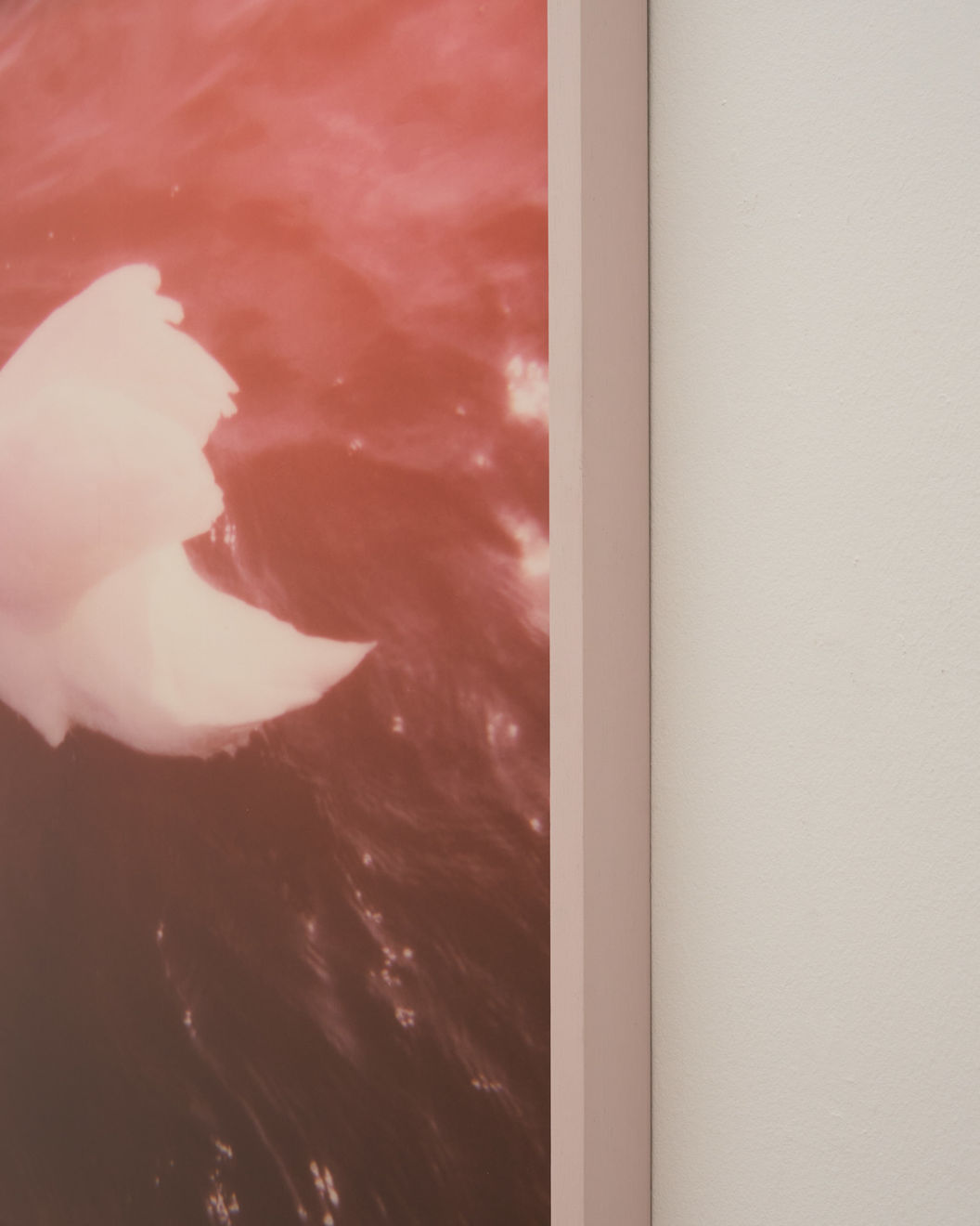 Carolina Echeverri, Di Mi Nombre, 2021