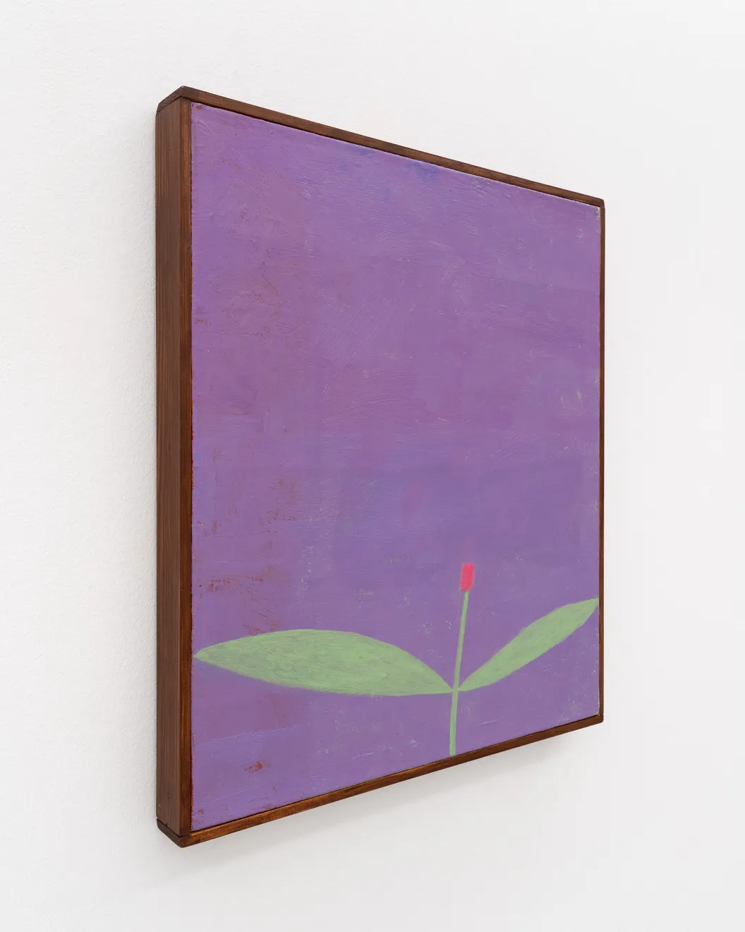 Galina Munroe, Sweetheart, 2026