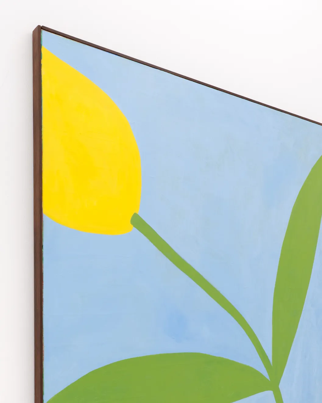 Galina Munroe, Tulipe, 2026