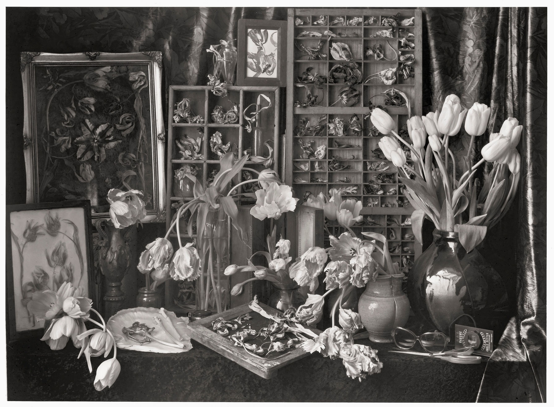 John Blakemore, Tulipomania No. 2, 1994