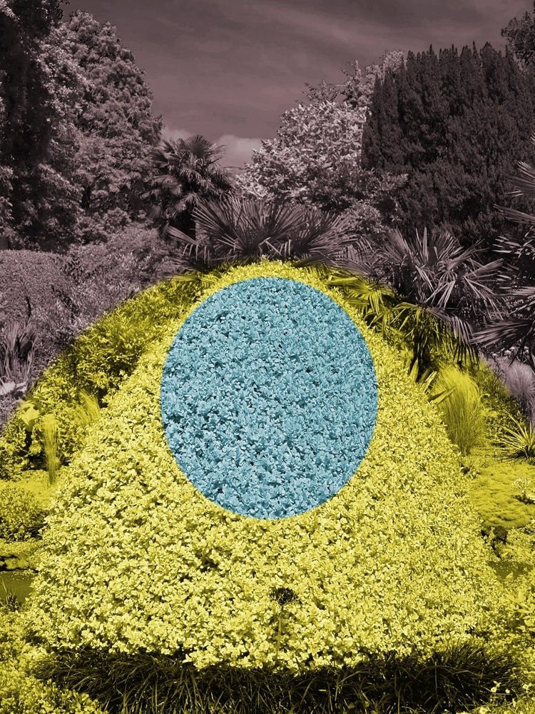 Helen Sear, Surreal Bush 3, 2020