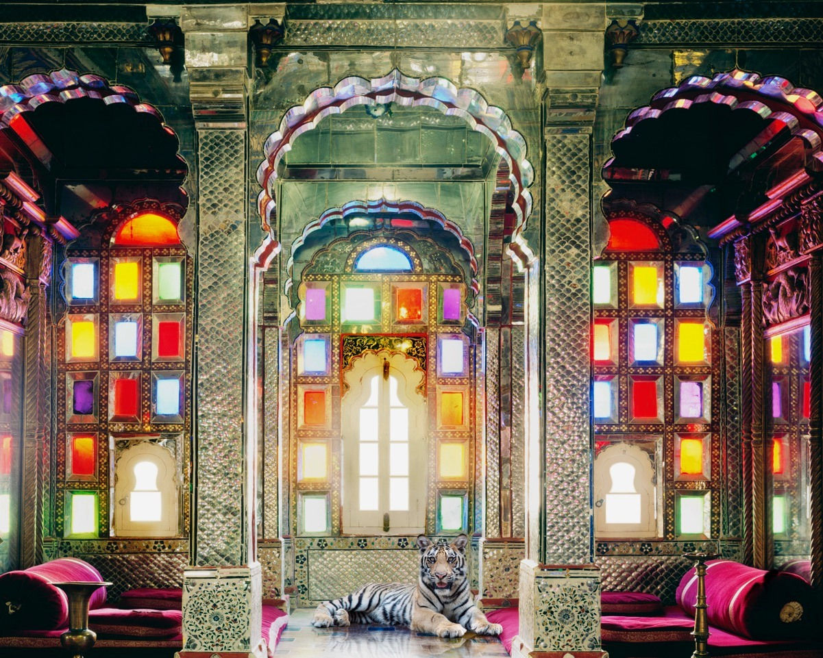 Karen Knorr, The survivor, Deogarth Palace, 2012