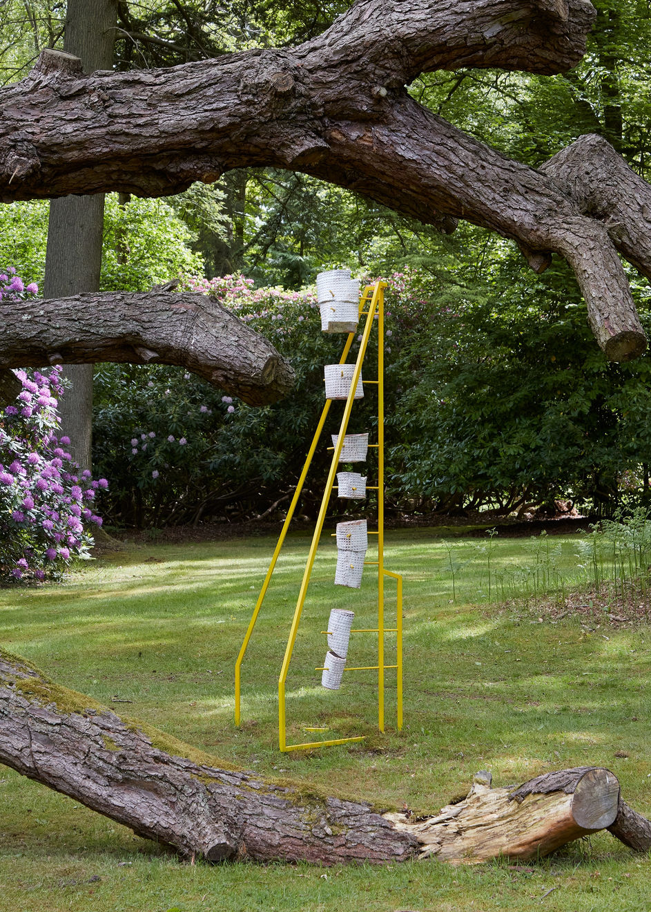 Yeni Mao, fig 31 lacuna, 2021