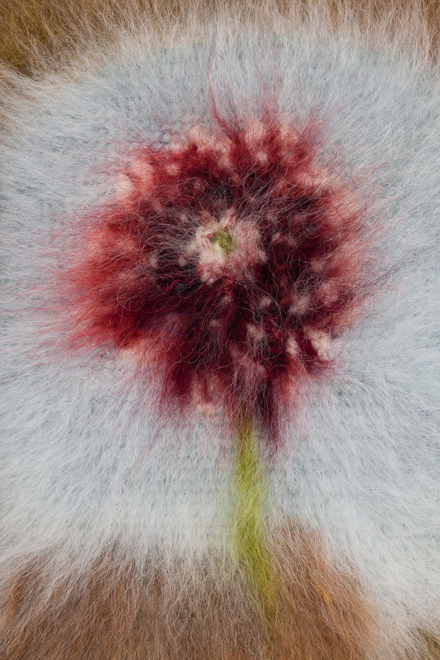 Maria Szakats, DAHLIA, 2024