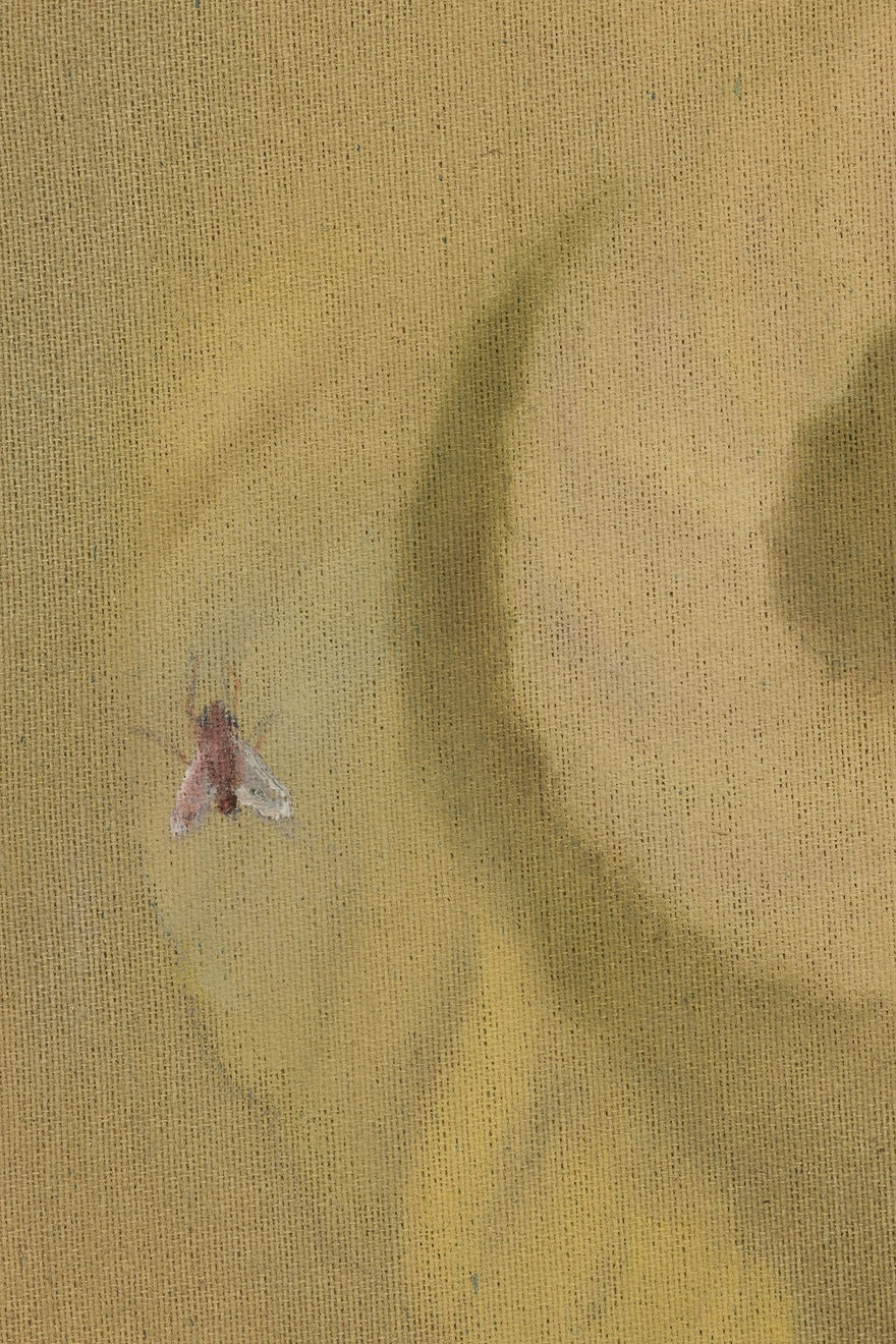 Anna Ruth, Rybicka, 2025