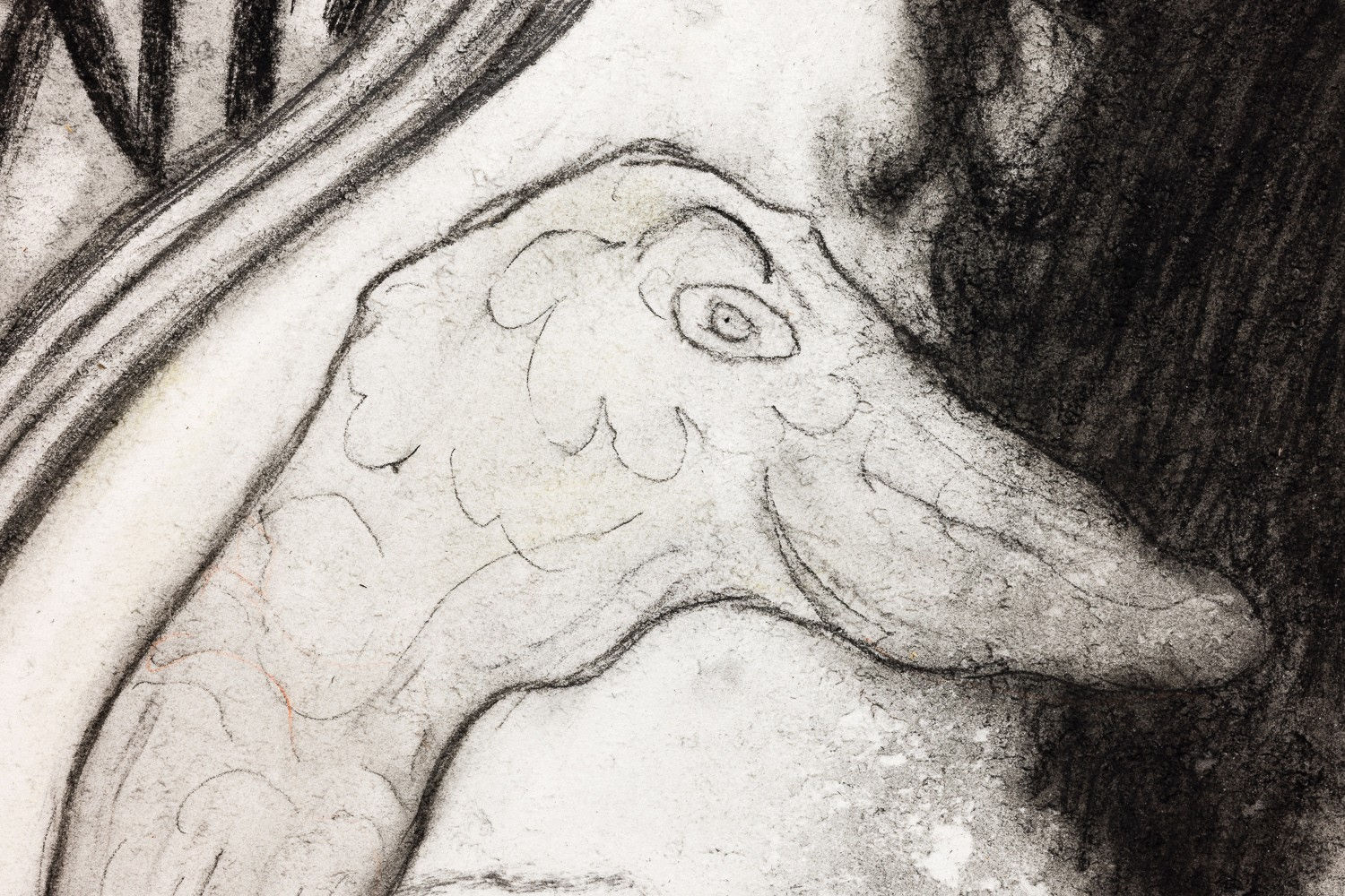 Ross Taylor, Avoiding vintage institution, 2023-2024