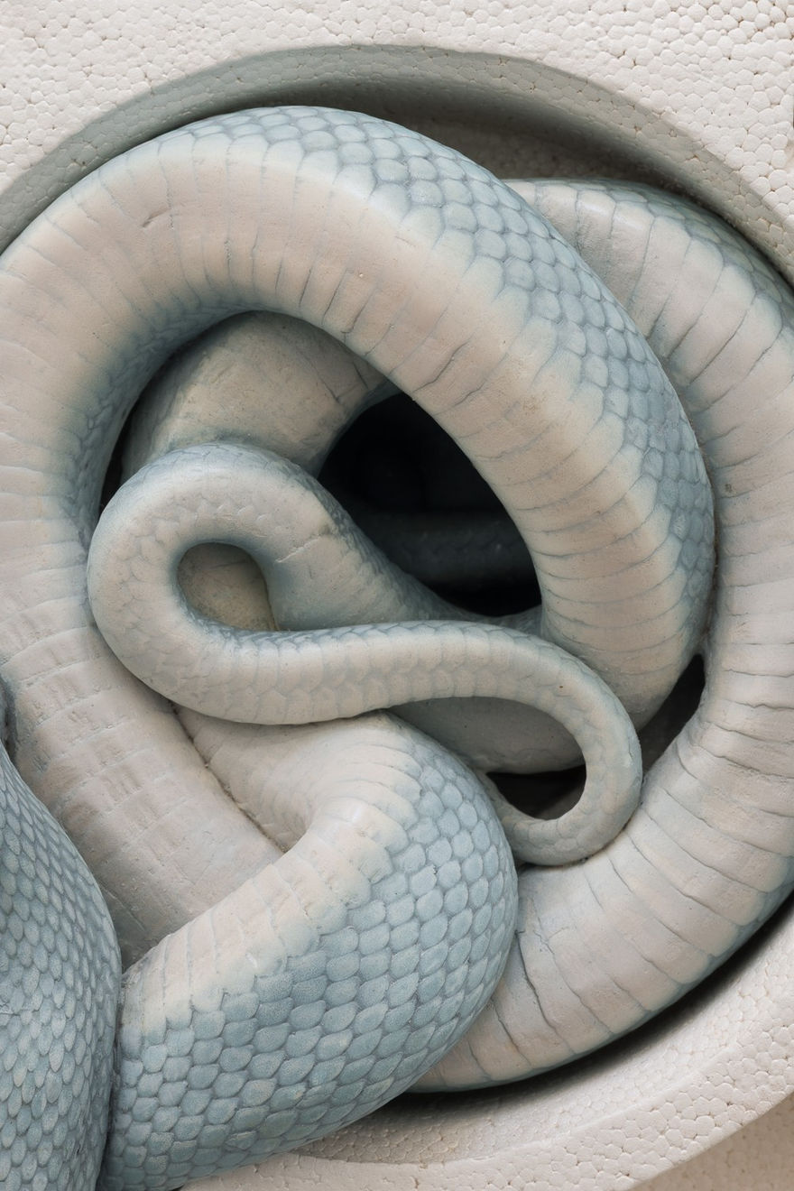 Polly Morgan, Explore the Range, 2025