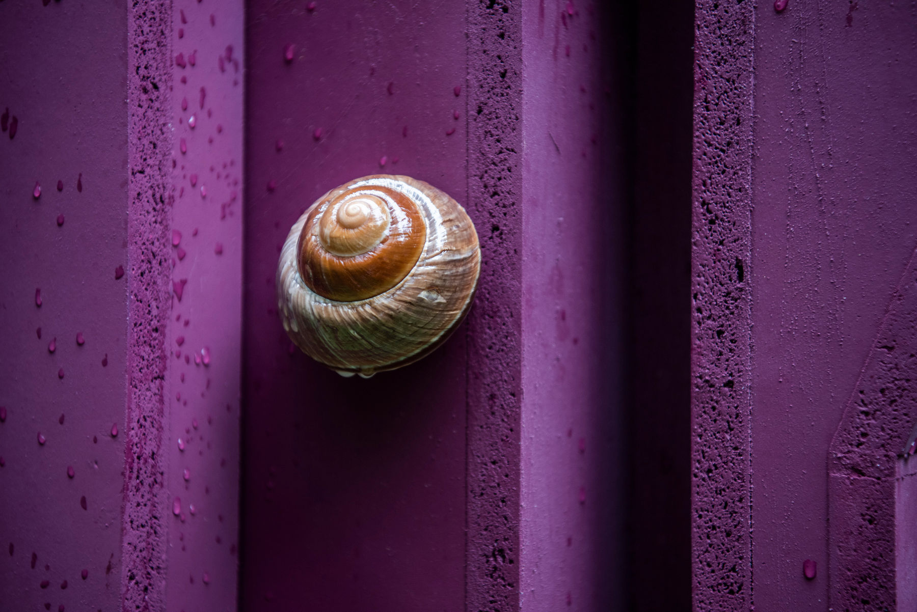 Laurence Owen, MONOLITH [A Brief History of Earth], 2022