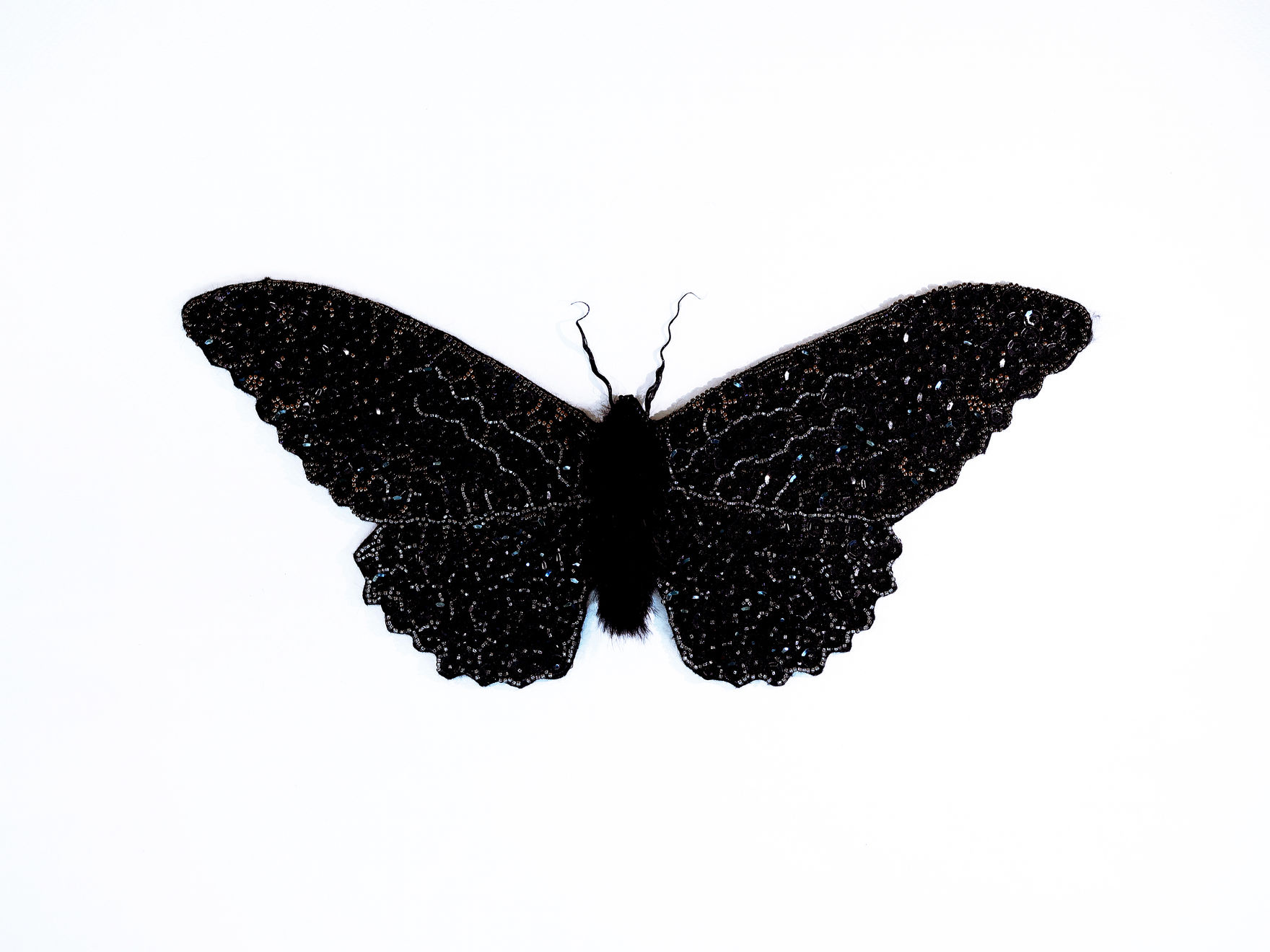 Sophie Lampert, Ghost Moth , 2026