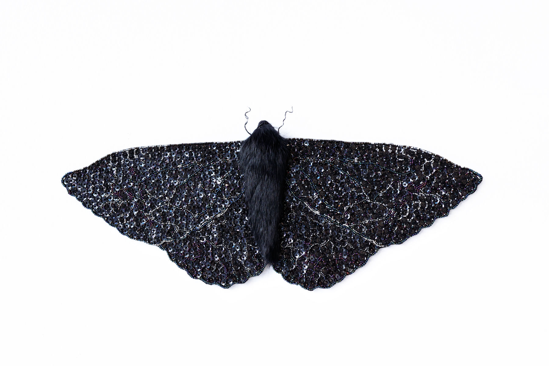 Sophie Lampert, Small Witch Moth, 2026