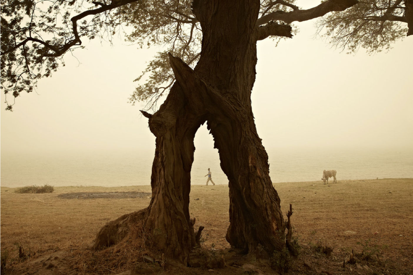 François-Xavier Gbré, Balanzan, Ségou, Mali, 2012