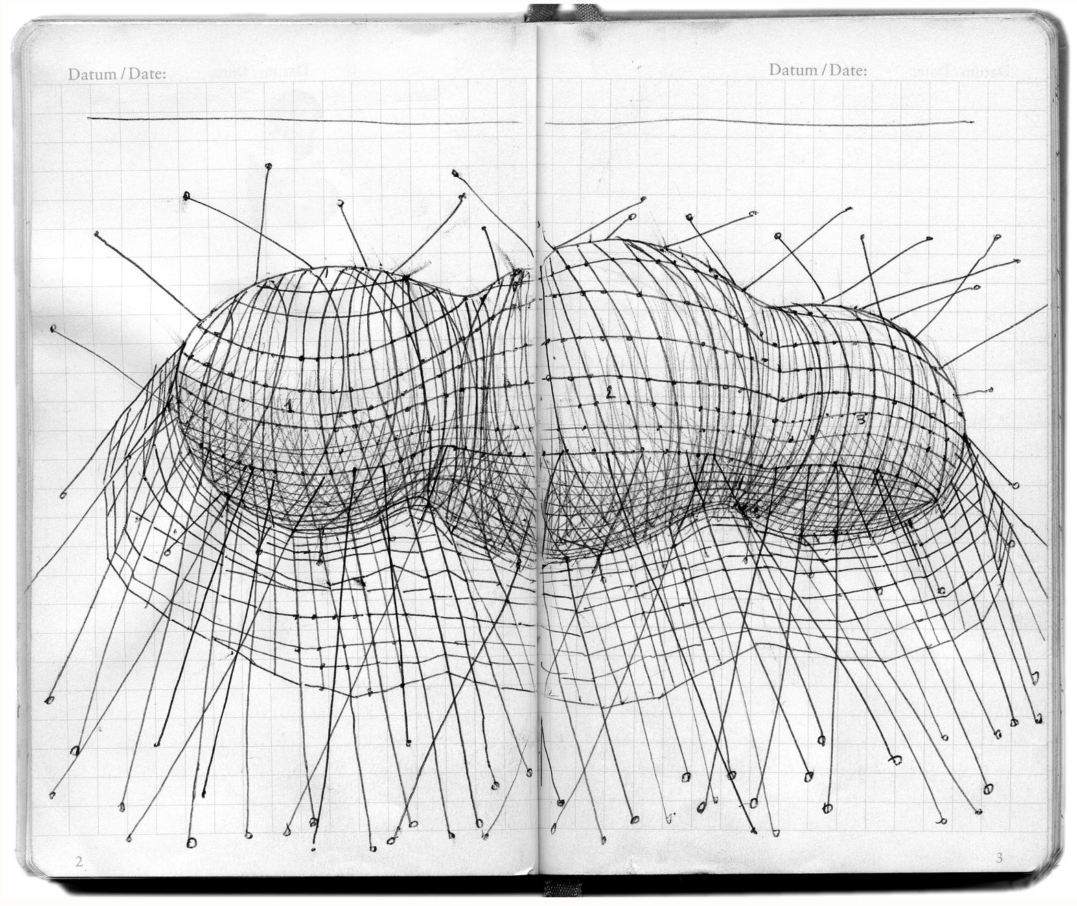 Yo-Yo Gonthier, La Capture du nuage, 2011