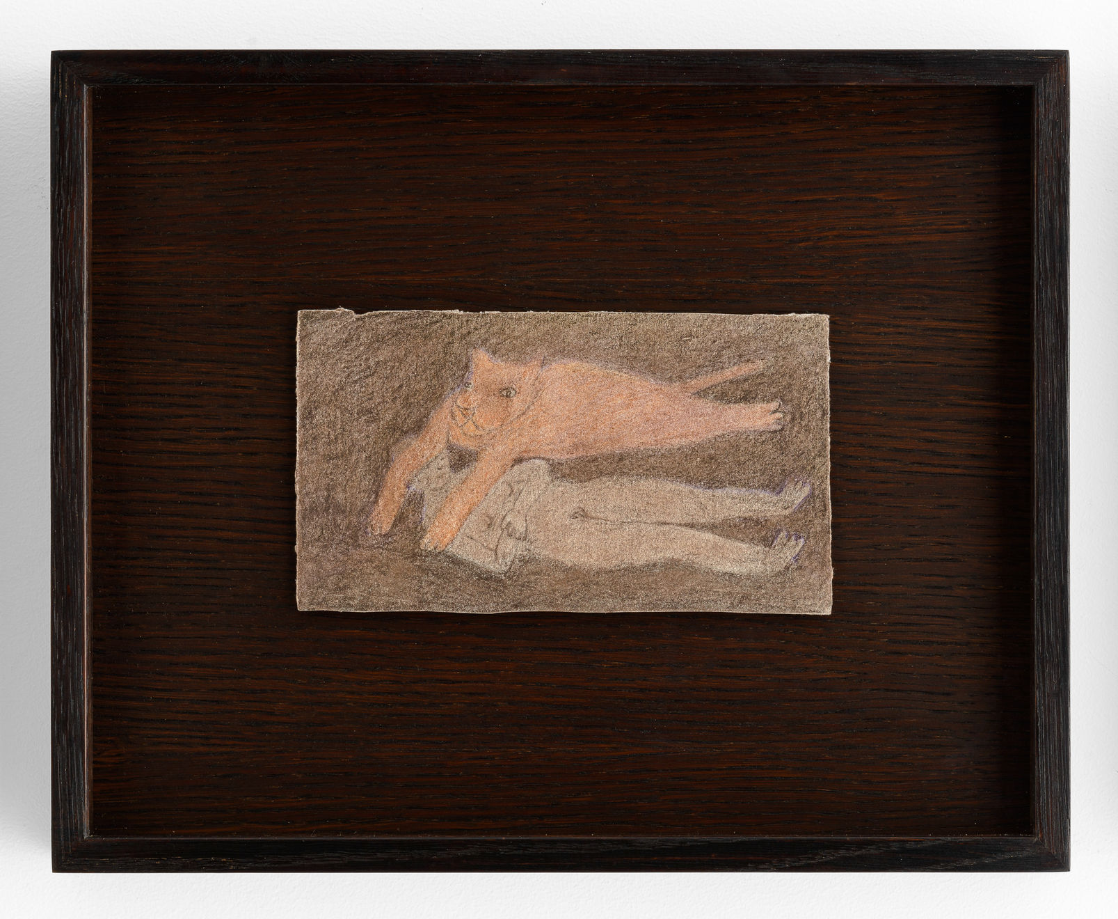 Fanny Irina, Lionne survole, 2022