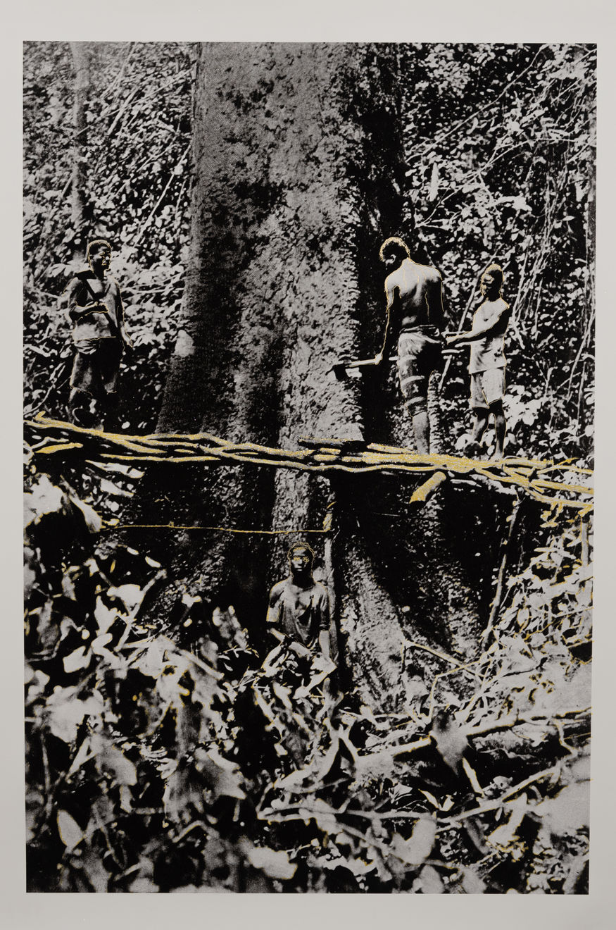 Dimitri Fagbohoun, The Radiant Child , 2022