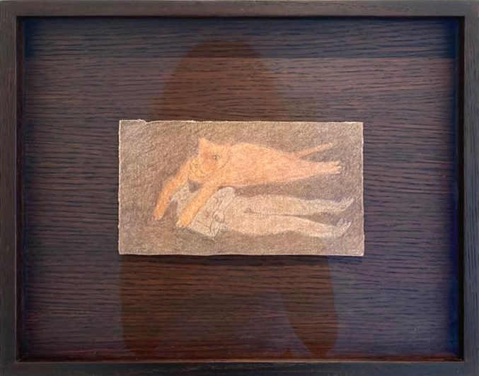 Fanny Irina, Lionne survole, 2022