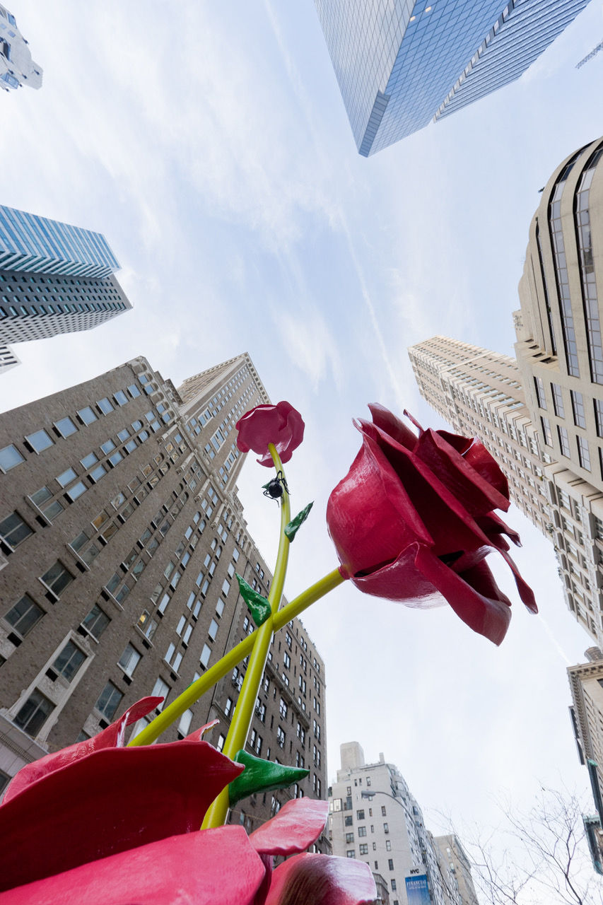Will Ryman, The Roses on Park Avenue, 2010