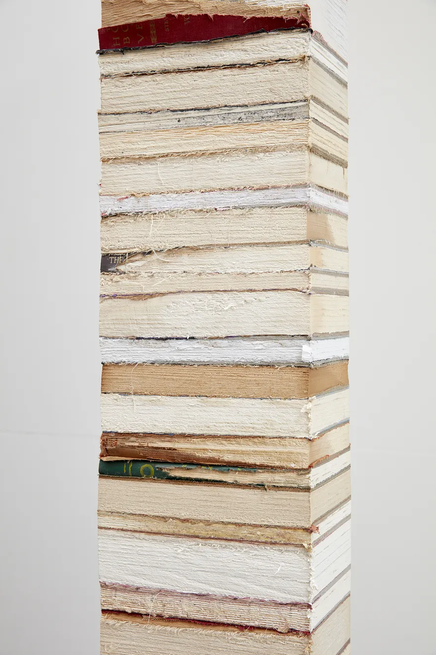 Jared Bark, Book Cant 6, 2017