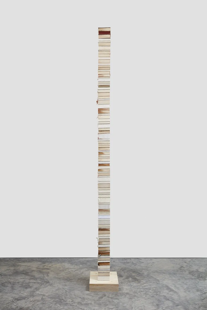 Jared Bark, Book Cant 6, 2017