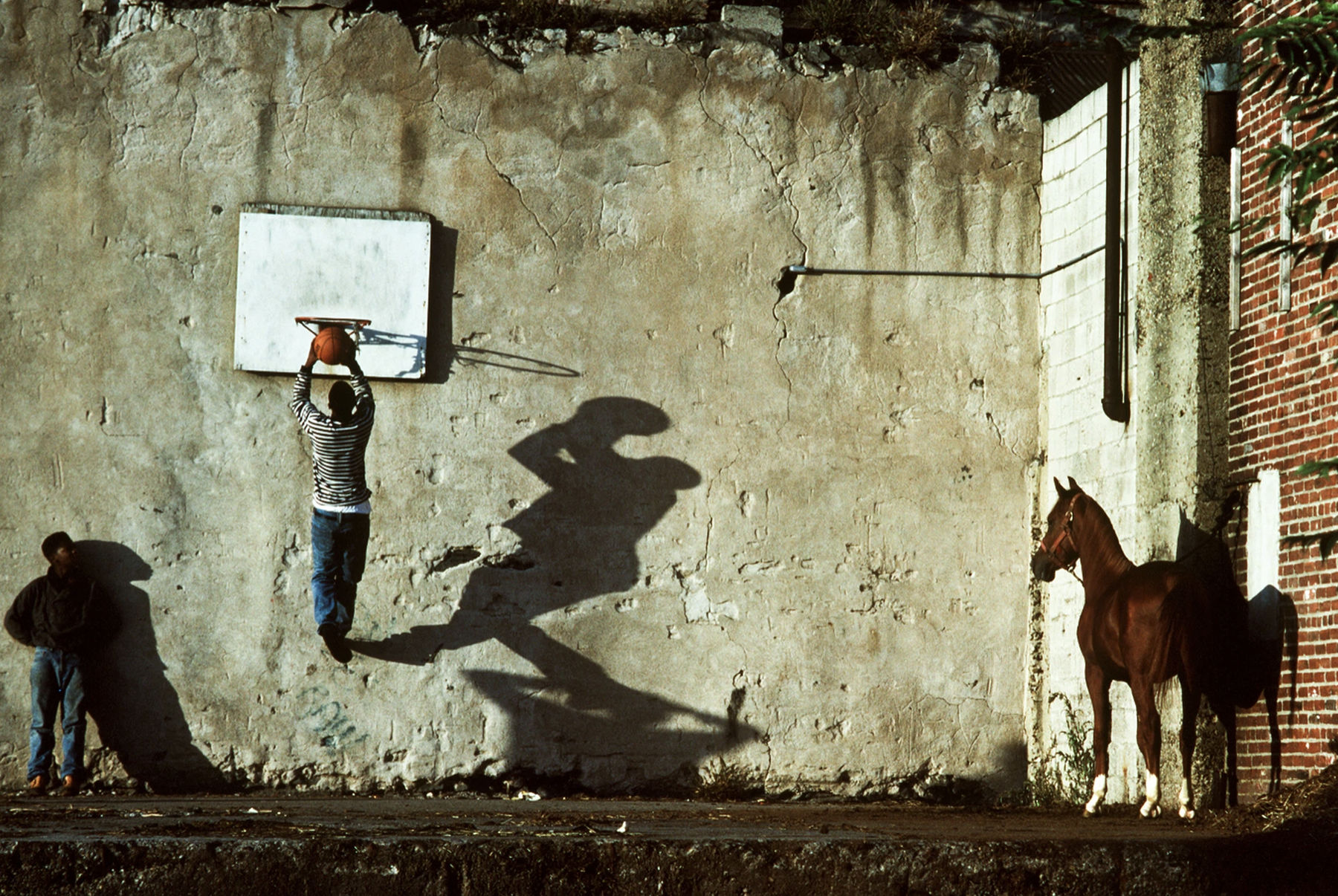 Ron Tarver, The Basketball Game, 1993