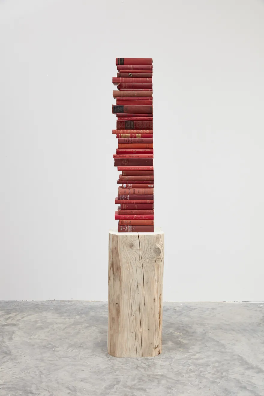 Jared Bark, Red/Green Book Stack, 2018