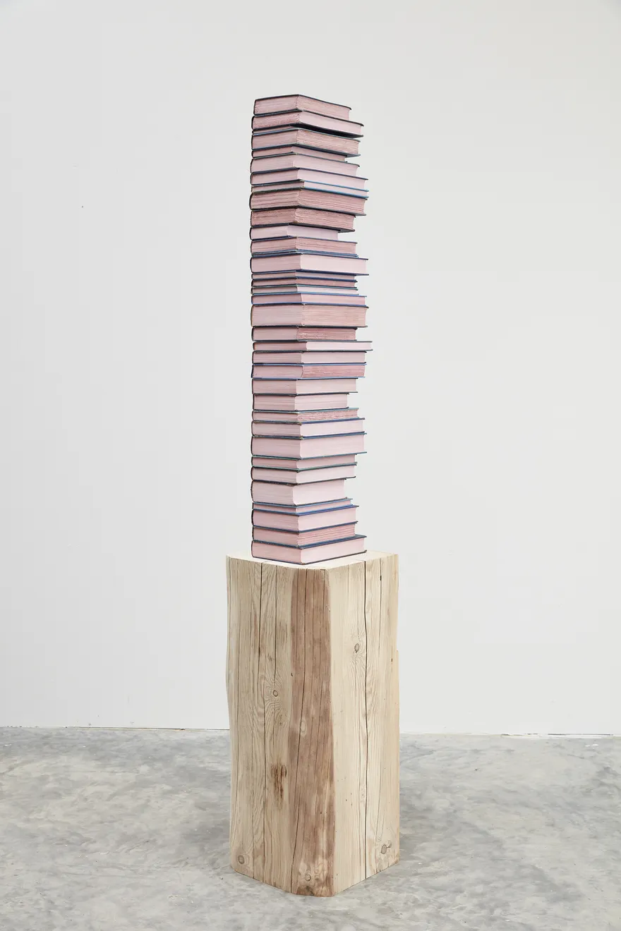 Jared Bark, Blue/Pink Book Stack, 2018