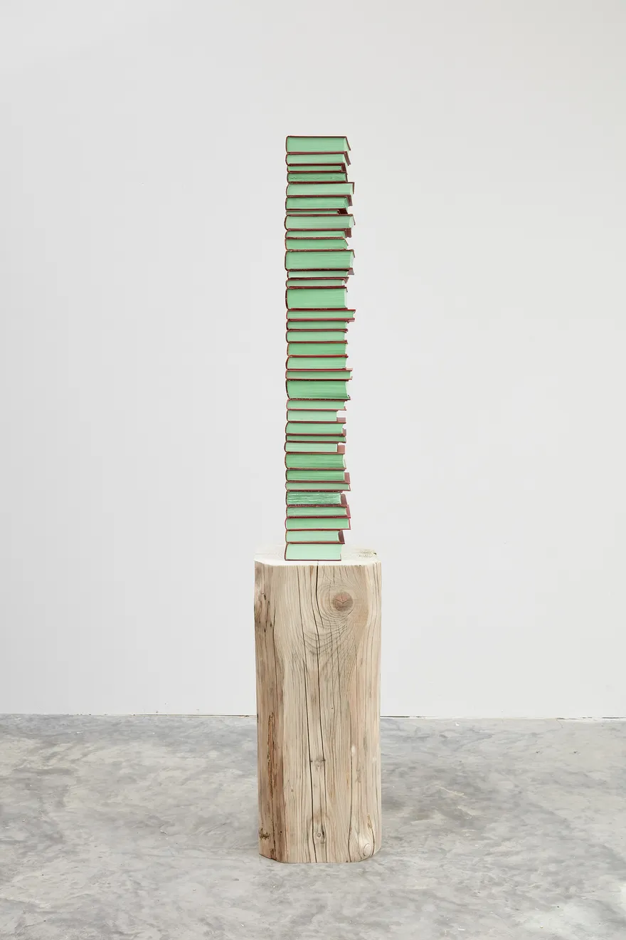 Jared Bark, Red/Green Book Stack, 2018