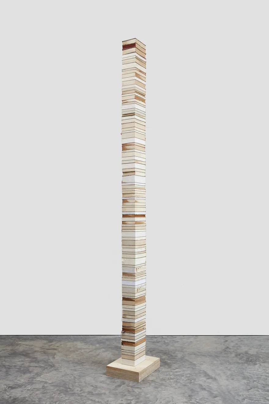 Jared Bark, Book Cant 6, 2017