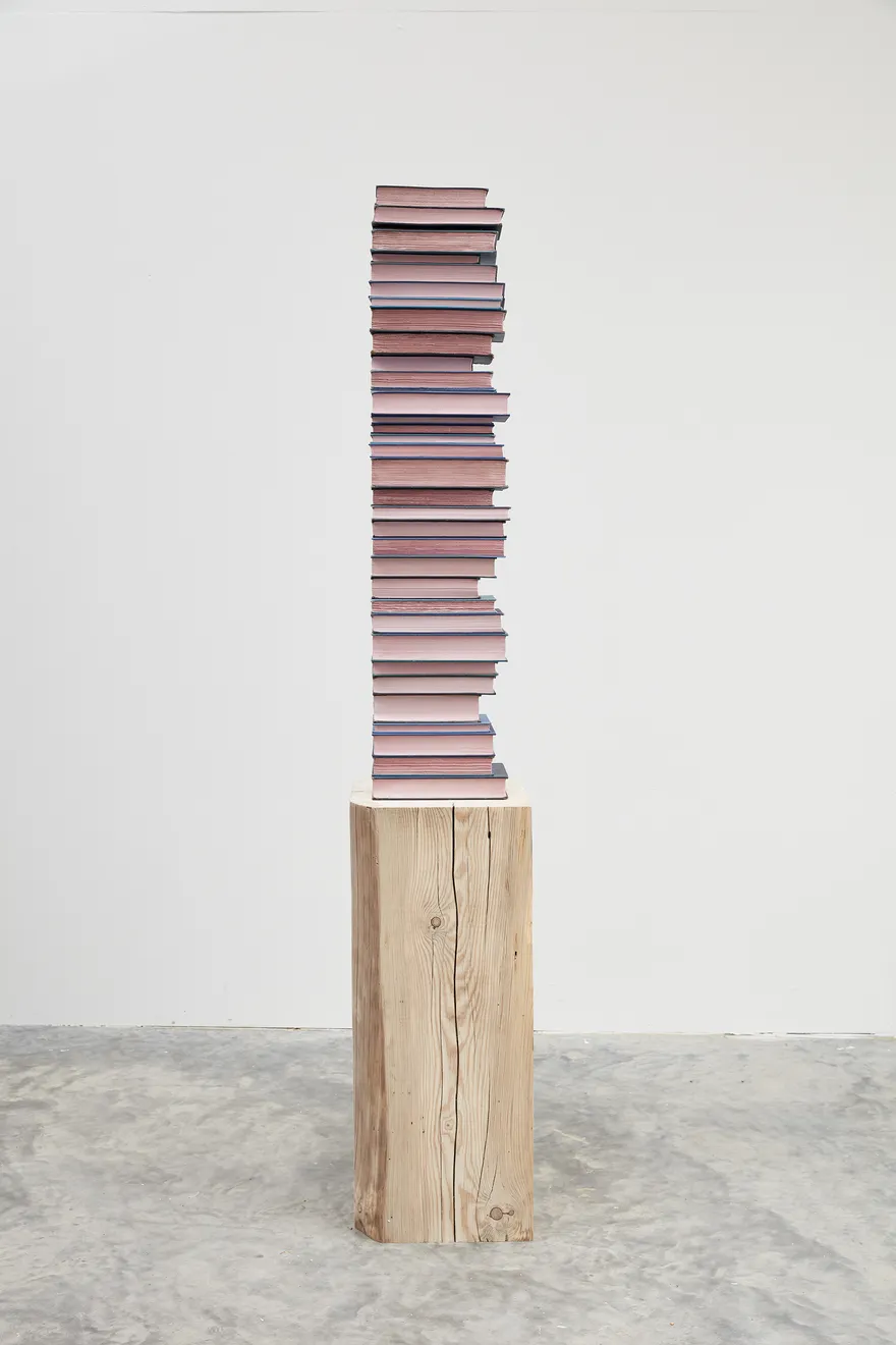 Jared Bark, Blue/Pink Book Stack, 2018