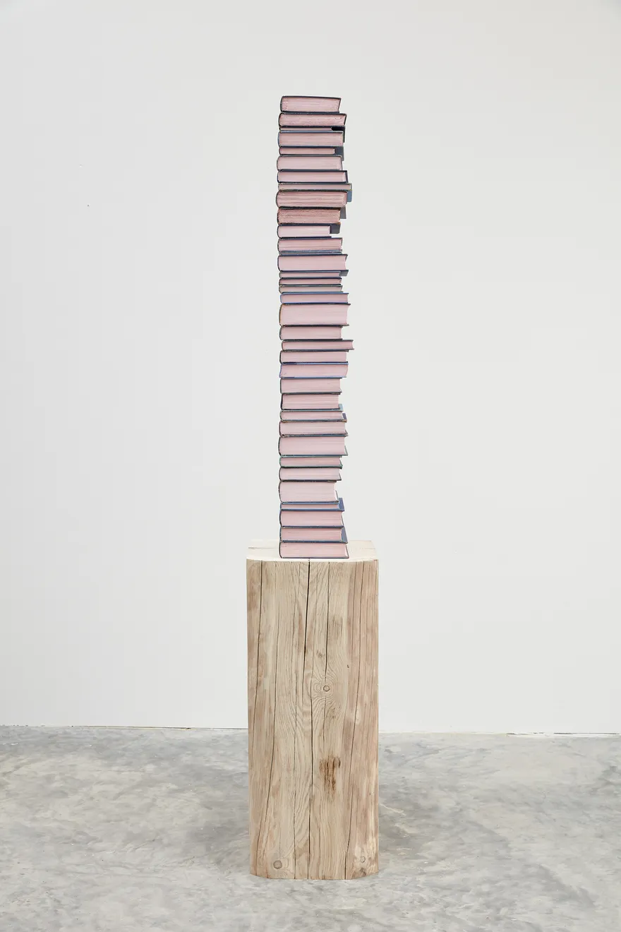Jared Bark, Blue/Pink Book Stack, 2018
