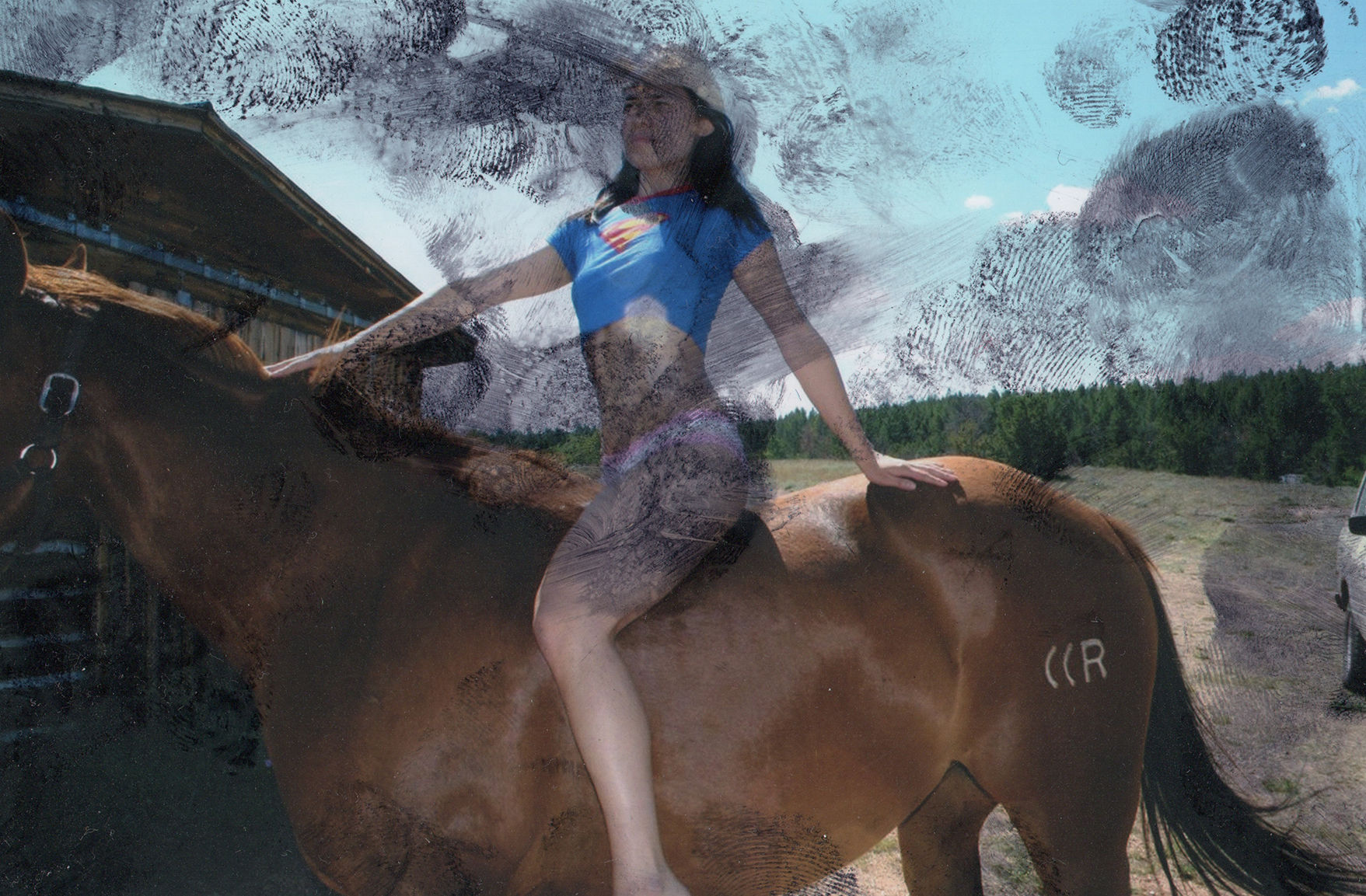 Laurel Nakadate, Lucky Tiger #246, 2009