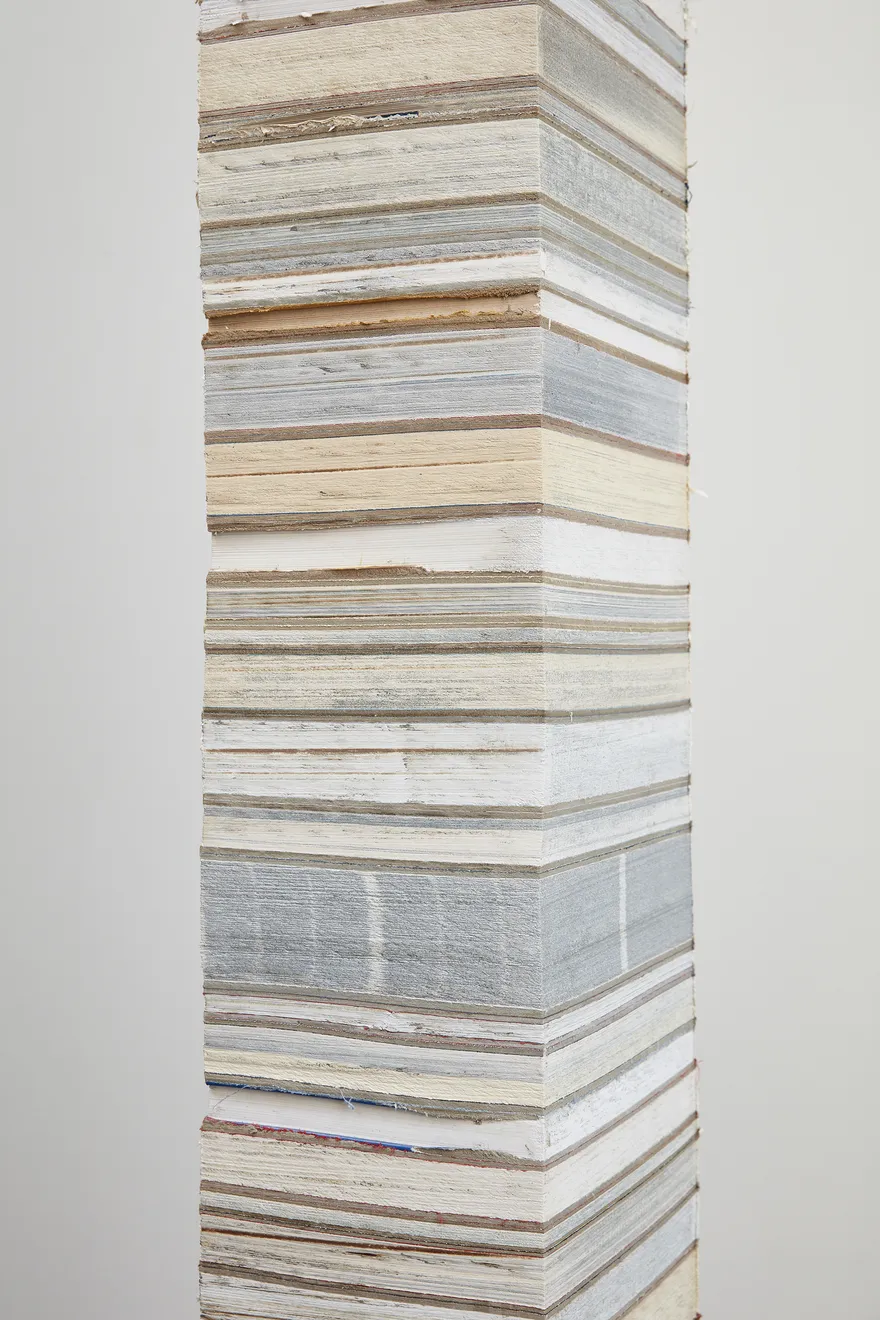 Jared Bark, Book Cant 1, 2017