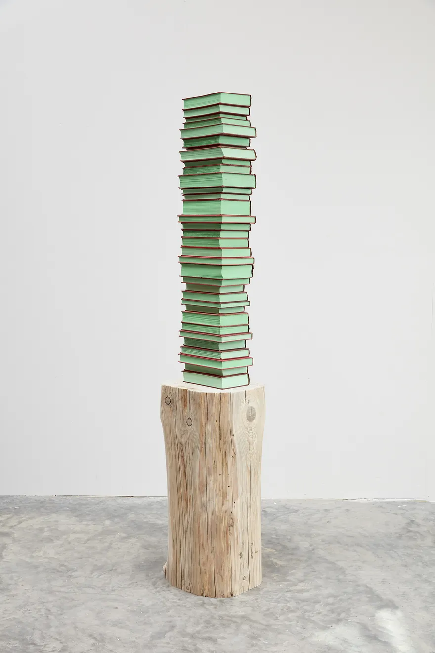 Jared Bark, Red/Green Book Stack, 2018