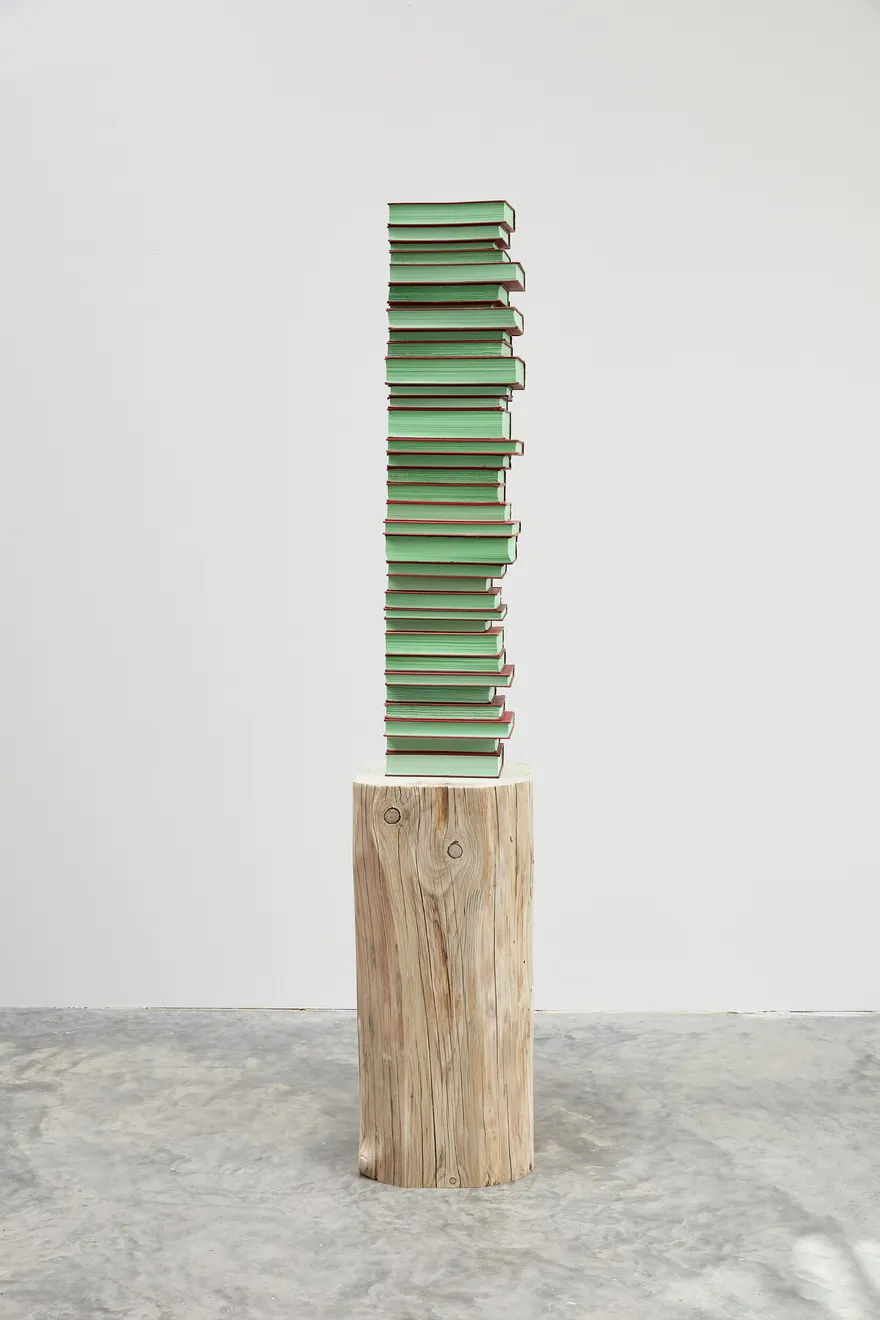Jared Bark, Red/Green Book Stack, 2018