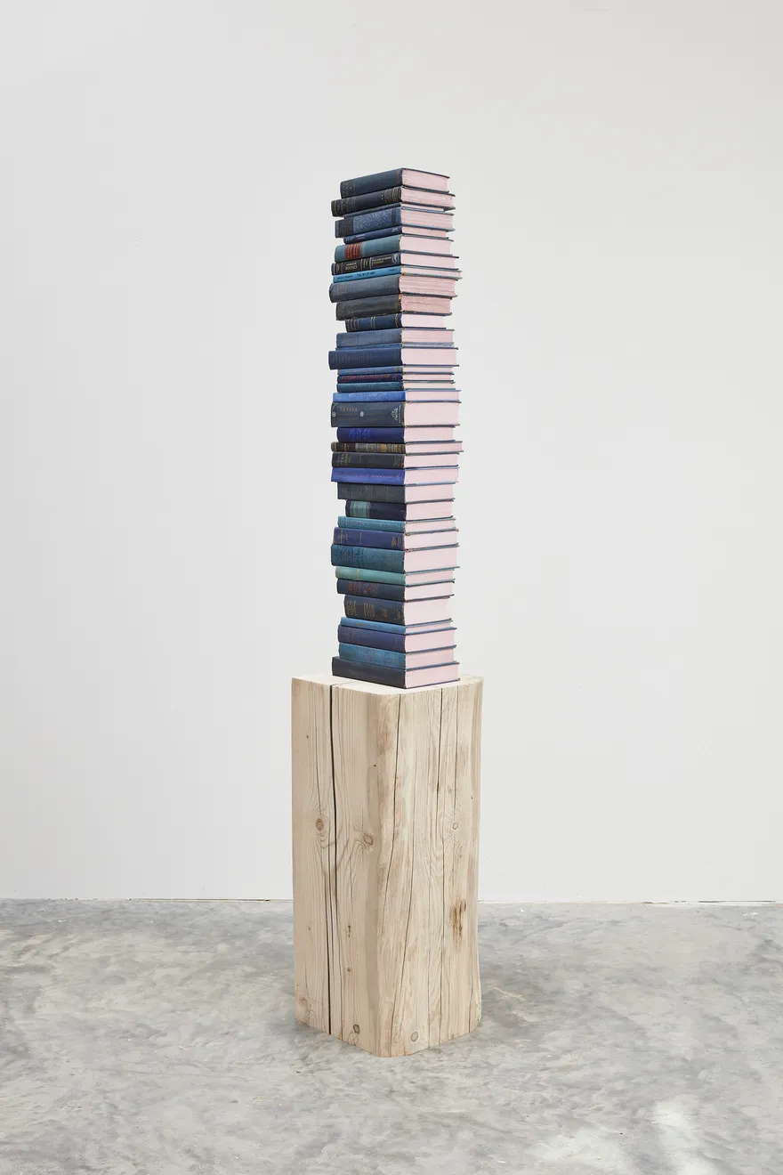 Jared Bark, Blue/Pink Book Stack, 2018