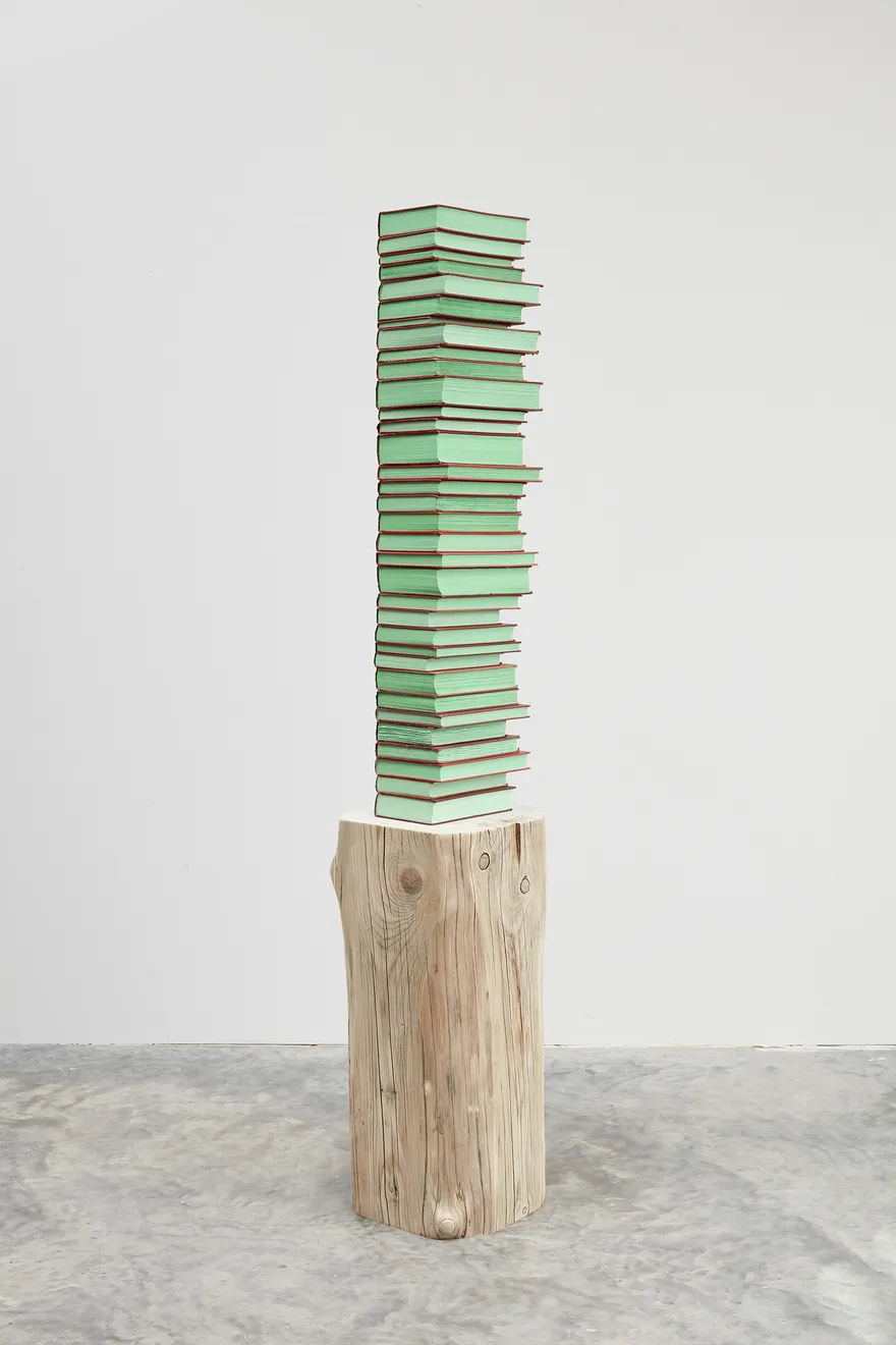 Jared Bark, Red/Green Book Stack, 2018