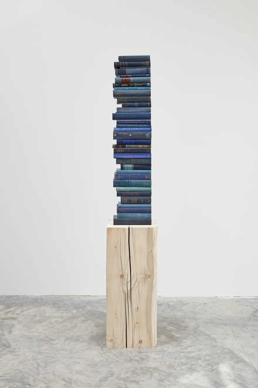 Jared Bark, Blue/Pink Book Stack, 2018