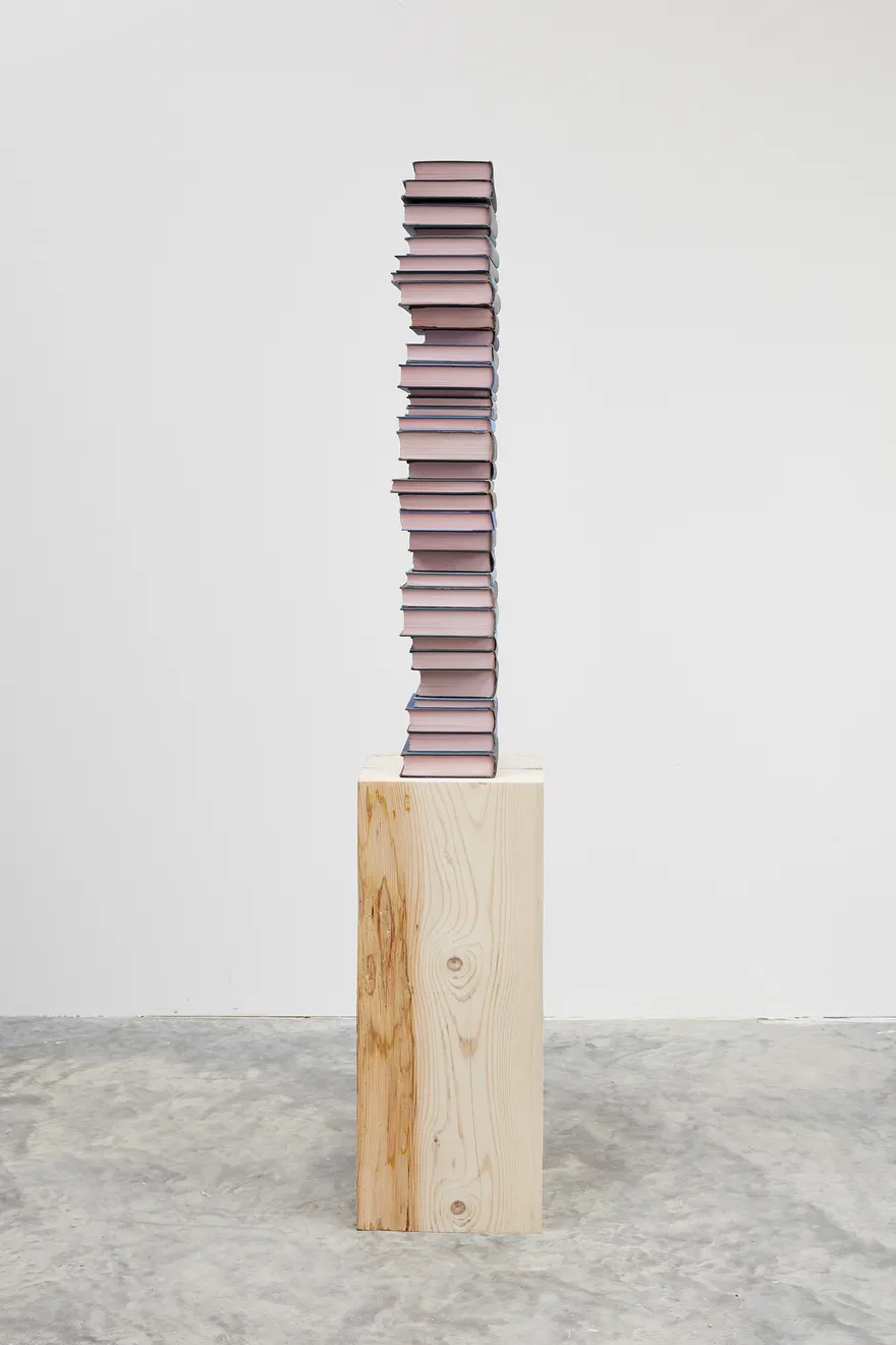 Jared Bark, Blue/Pink Book Stack, 2018