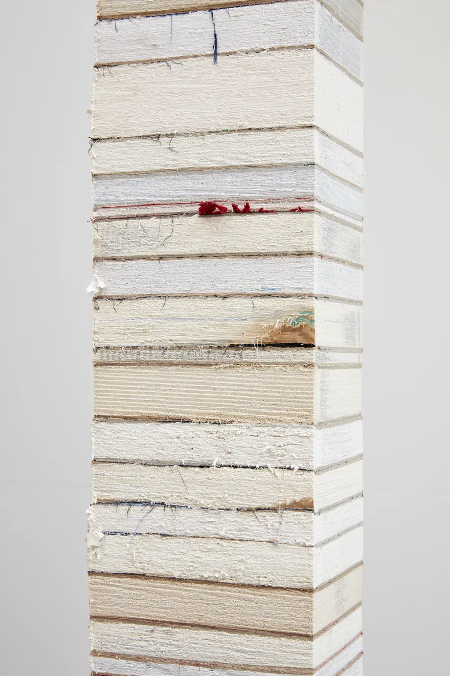 Jared Bark, Book Cant 4, 2017
