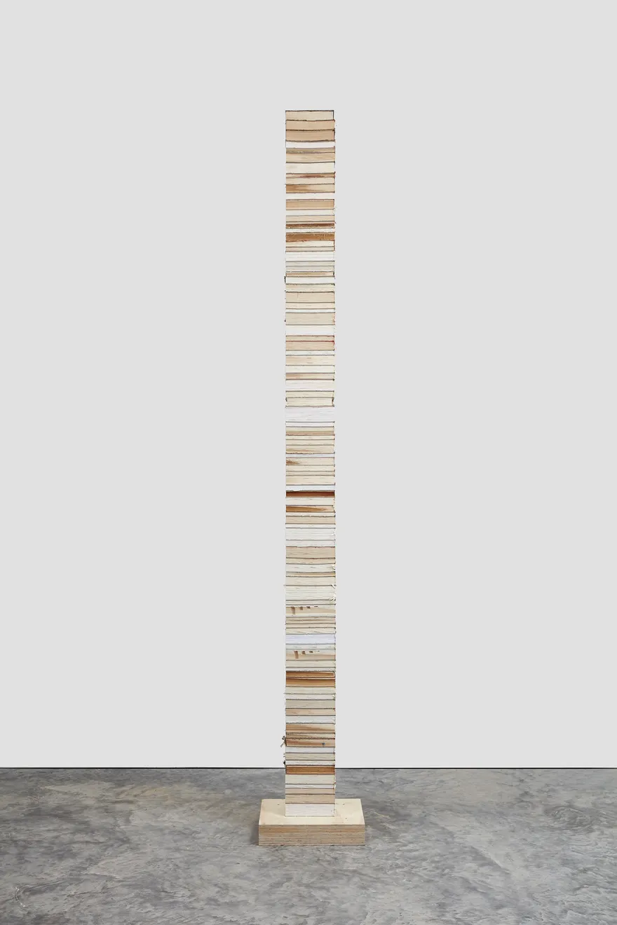 Jared Bark, Book Cant 6, 2017