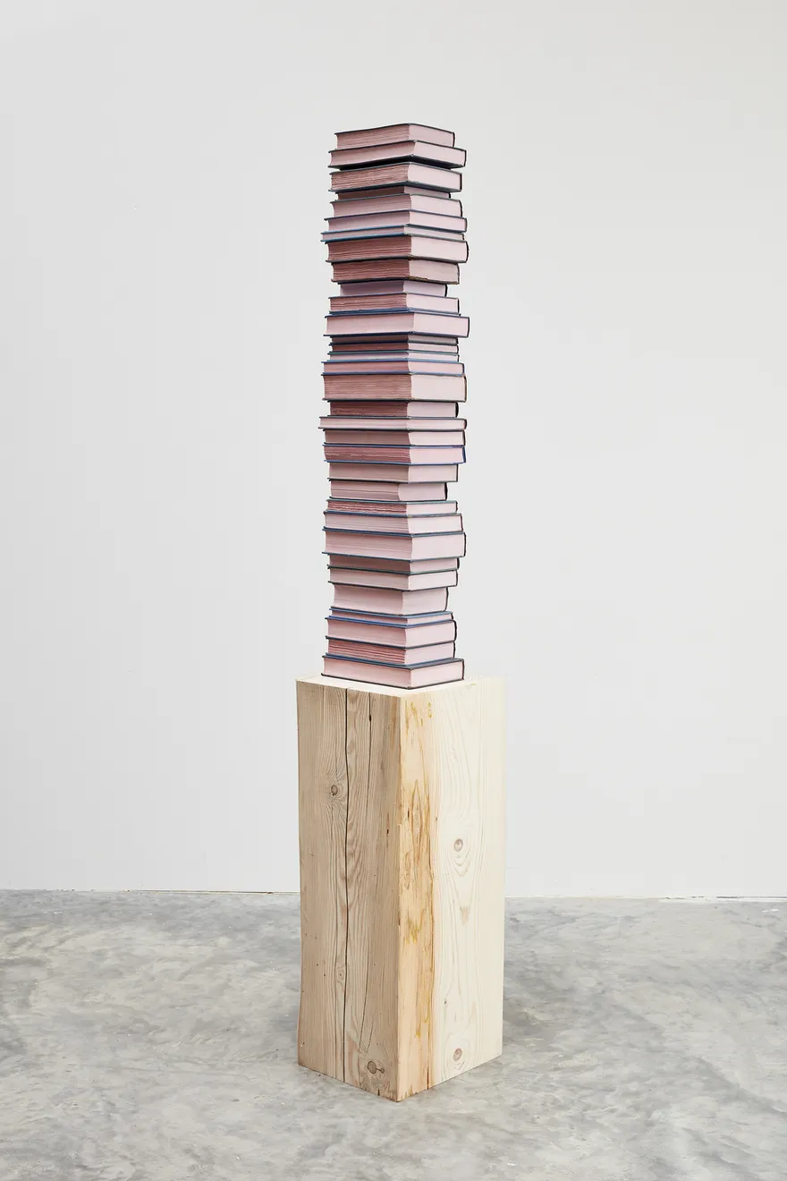 Jared Bark, Blue/Pink Book Stack, 2018