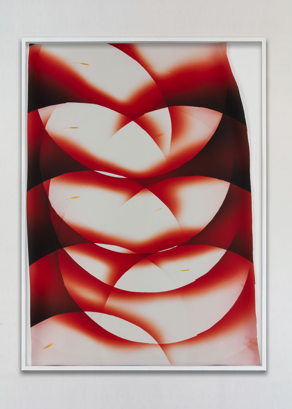 Mariah Robertson, 134, 2025